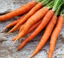 What is vitamin A and beta-carotene?