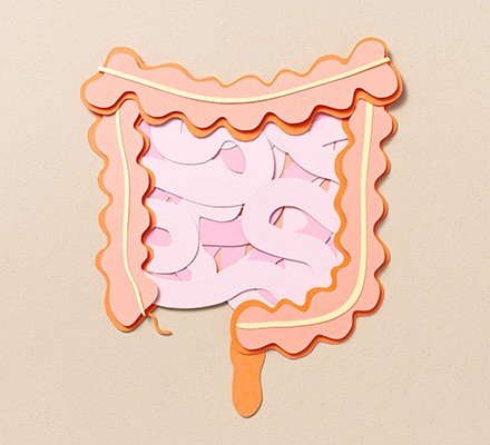 Gut health metabolism