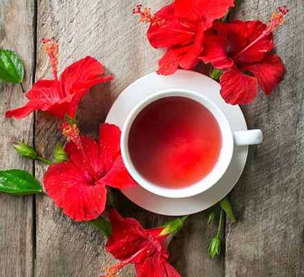 Hibiscus tea with hibiscus flowers