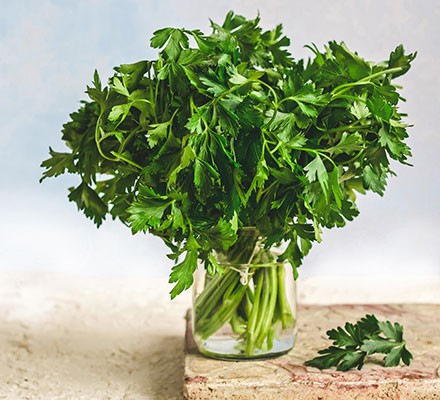 Fresh parsley in a glass of water