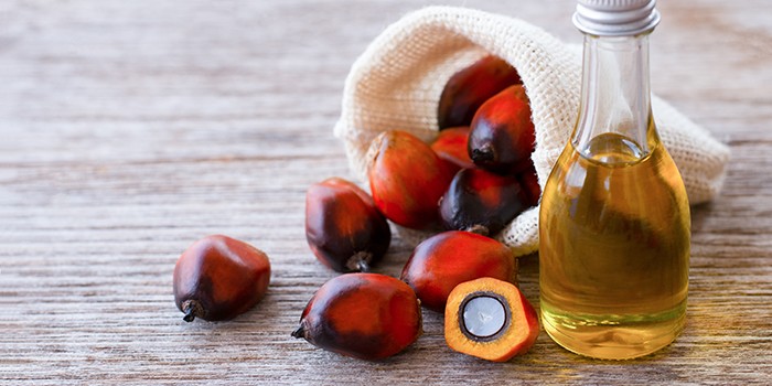Palm oil and palm fruit